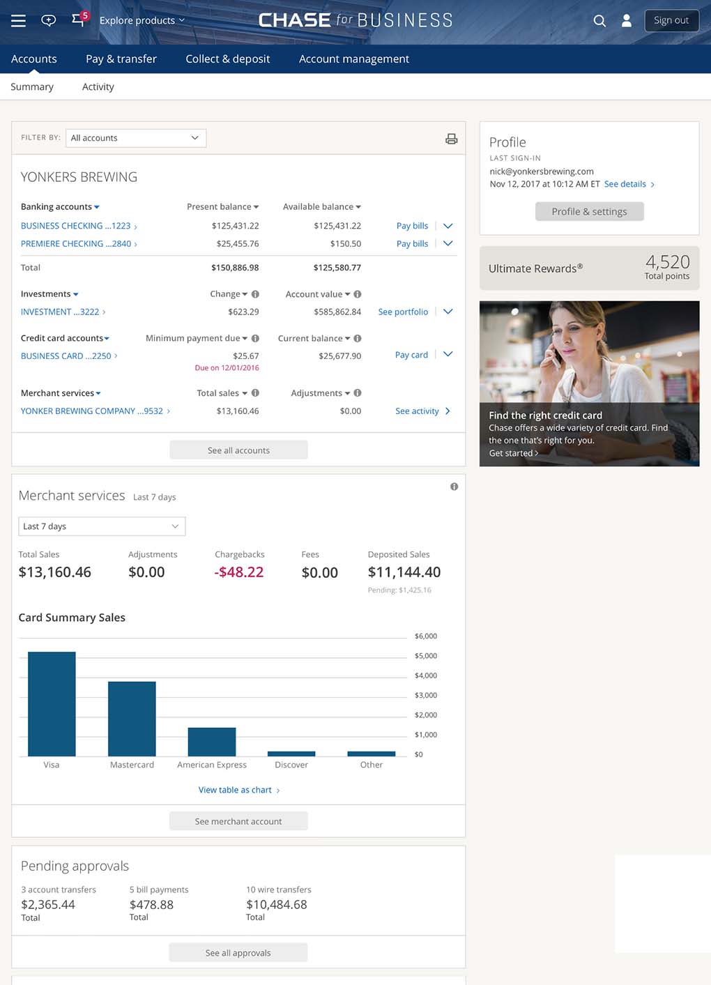Vision data-visualization concept for merchant reporting.