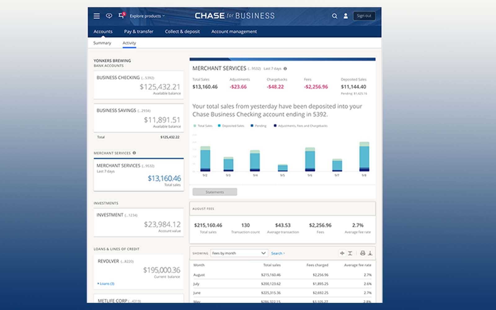 The view-daily-sales concept.
